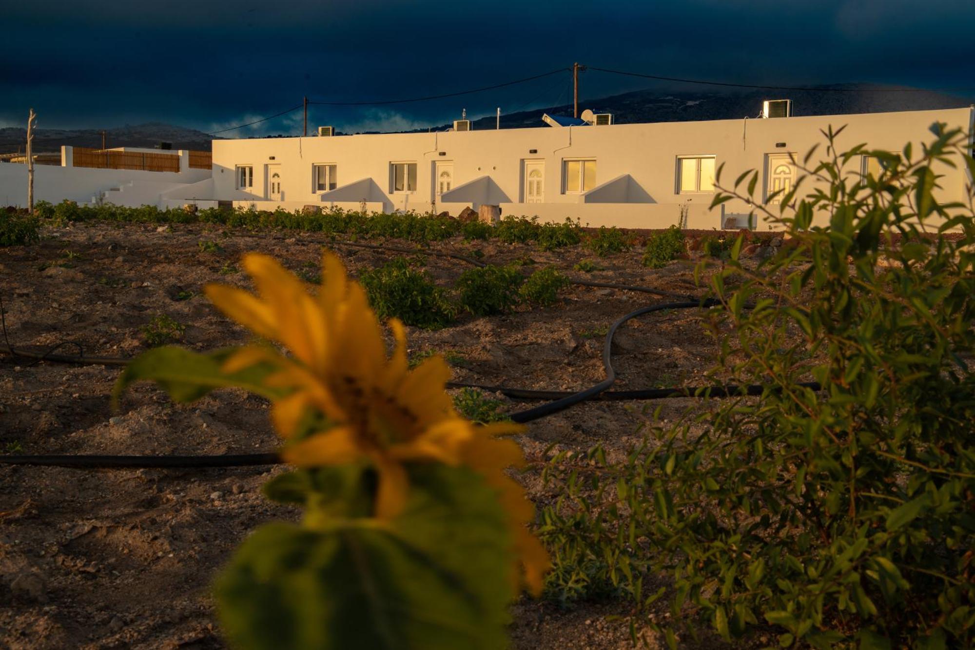 Calma Eco Houses Sunset View Emporio  Екстериор снимка
