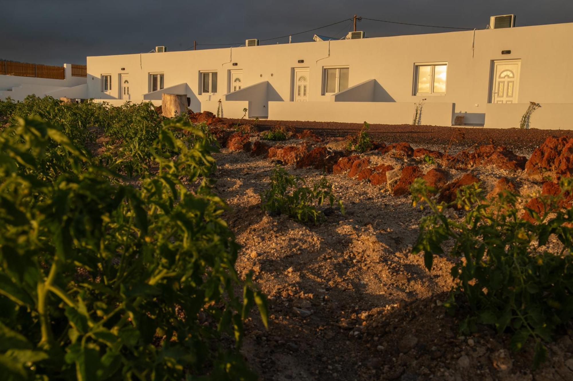 Calma Eco Houses Sunset View Emporio  Екстериор снимка
